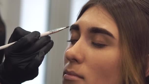 Teñido de cejas. El maestro pinta las cejas con la henna a la muchacha hermosa, pinta con el pincel en el salón de la esteticista-maquilladora. Arquitectura de frente — Vídeo de stock