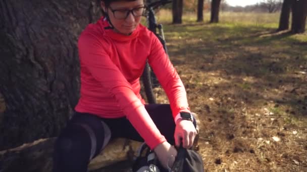 Viejos pinos altos se balancean en el viento contra el cielo. Troncos de árboles balanceándose, silbando ramas. En otoño, primavera en clima soleado — Vídeos de Stock