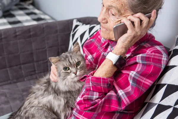 主题老人使用技术。成熟满足的喜悦微笑活跃的灰发白种人皱纹妇女坐在家里客厅的沙发上与蓬松的猫使用手机, 电话和会说话的电话 — 图库照片