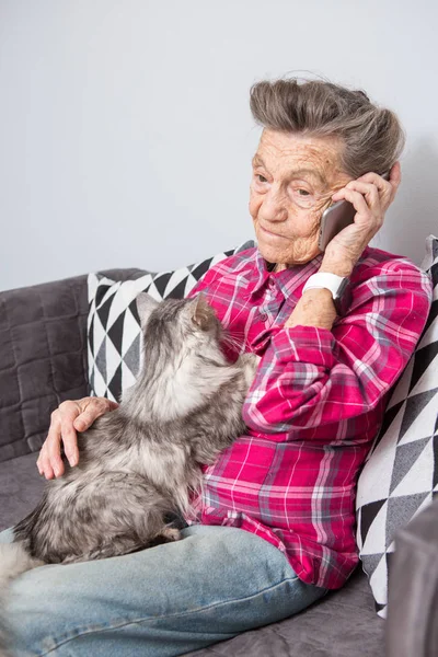Тема пожилой человек использует технологии. Зрелая довольная радость улыбка активные седые волосы белые морщины женщина сидит дома гостиная на диване с пушистым котом с помощью мобильного телефона, звонка и говорящего телефона — стоковое фото