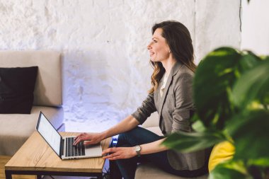 İş yerinde konsantre oldu. Kendine güvenen genç yetişkin orta yaşlı kadın akıllı rahat giysiler içinde, bir dizüstü bilgisayar üzerinde çalışan, yaratıcı bir ofis veya kafe içinde oturan. Tema iş kadını boş alanda çalışmak