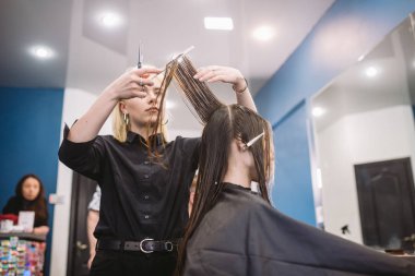 Kuaför elinde makas ve tarak tutuyor ve saçını kestiren kadın müşteri yapıyor. Güzellik salonunda genç ve güzel bir kadın saçı. Saç kesme işlemi makasla yapılır. Kuaför kahverengiyi buduyor.
