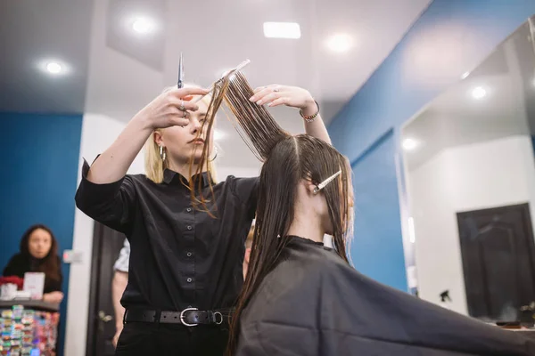 hairdresser holding scissors and comb and makes haircut woman client. Young beautiful woman hair cut in beauty salon. Process of hair cutting with use scissors. Hairdresser trimming brown.