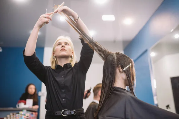 Cabeleireiro segurando tesoura e pente e faz cliente mulher corte de cabelo. Jovem mulher bonita cabelo cortado no salão de beleza. Processo de corte de cabelo com uso de tesoura. Cabeleireiro aparar marrom. — Fotografia de Stock