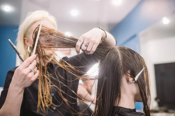 Frisør som holder en saks og gre og gjør en frisør til kunde. Ung, vakker kvinne med hår klippet i skjønnhetssalongen. Hårklippeprosess med saks. Frisørsalve, brun. – stockfoto