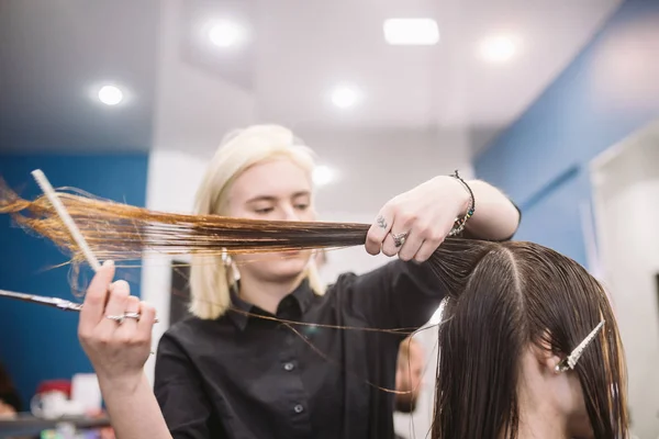 Cabeleireiro segurando tesoura e pente e faz cliente mulher corte de cabelo. Jovem mulher bonita cabelo cortado no salão de beleza. Processo de corte de cabelo com uso de tesoura. Cabeleireiro aparar marrom. — Fotografia de Stock