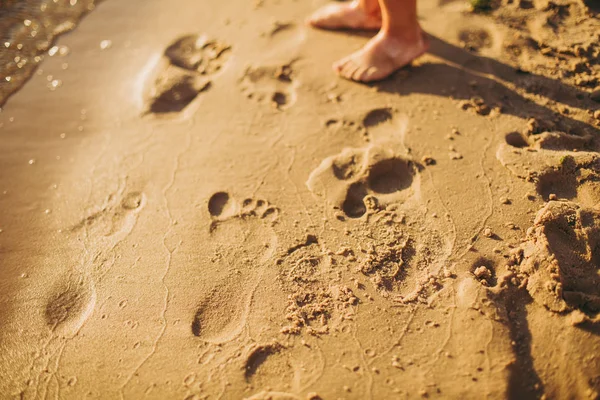 Piernas de niños de pie en la playa. Pies de bebé en la arena. Fondo de playa de verano. Concepto de vacaciones de verano —  Fotos de Stock