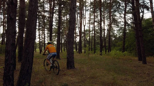 Ukraina, Kijów, 4 lipca 2019. Sesji rowerów górskich. Człowiek jazdy w lesie z rowerem górskim. Rowerzysta jazda rowerem na szlaku w pięknej Fairy Pine Forest. Koncepcja przygodowa i turystyczna — Zdjęcie stockowe