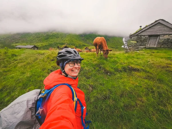 Кавказская женщина-велосипедистка в шлеме и плаще делает селфи против норвежских гор и смешной коричневой коровы в дождливую облачную погоду. Любить животных и овощи — стоковое фото