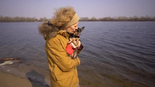 Portrét dospělé světlé kudrnaté vlasy Kavkazská žena s malým černobarevným psí plemeno hračka. Starý zábavný mazlíček vytyčí zub, jazyk spadne ven, není to správné sousto — Stock video