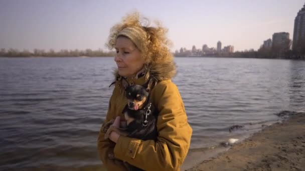 Portrait of an adult blonde curly hair Caucasian woman holding a small black-colored dog breed toy terrier. Old funny pet sticks out a tooth canine, tongue falls out, not a correct bite — Stock Video