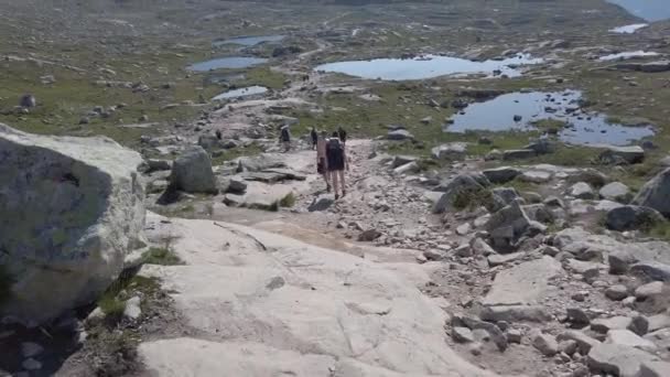 26 de julio de 2019. Noruega ruta turística en la trolltunga. La gente turistas van de excursión en las montañas de Noruega en buen tiempo soleado a la rolltunga. Mochila de senderismo tema — Vídeo de stock