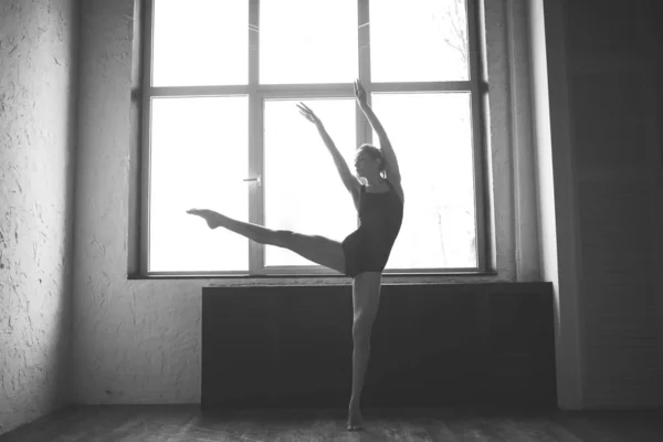 Plasticità donna magra ballare vicino alla finestra. La ballerina professionista ama la danza. Ballerina che allena danza moderna in classe. Artista di danza contemporanea. Luce del giorno, silhouette bellissimo corpo. Tema della danza — Foto Stock