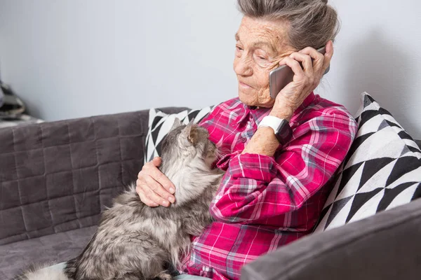 Tema persona anziana utilizza la tecnologia. Maturo contento gioia sorriso attivo capelli grigi rughe caucasiche donna seduta a casa soggiorno sul divano con gatto soffice utilizzando il telefono cellulare, chiamando e parlando telefono — Foto Stock