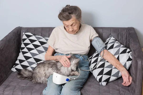 Тема - очень пожилой человек и проблемы со здоровьем. Старшая белая женщина, 90 лет, с морщинами и седыми волосами, сидит дома на диване с домашней кошкой и использует тонометр. Высокое кровяное давление — стоковое фото