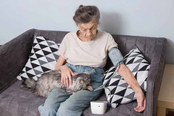 Konu çok eski kişi ve sağlık sorunları var. Bir üst düzey beyaz bir kadın, 90 yaşında bir çocuk, kırışıklık ve gri saç ile ana sayfa ile evde beslenen hayvan kedi koltukta oturur ve tonometer kullanır. Yüksek tansiyon baş ağrısı — Stok fotoğraf