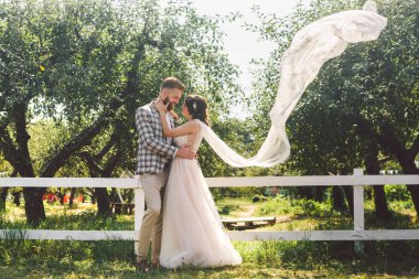 Aşık beyaz çift gelin ve damat parkta ahşap beyaz, kırsal çit yanında kucaklama ayakta bir elma bahçesi. tema uzun peçe ile düğün portre ve güzel düğün beyaz elbise