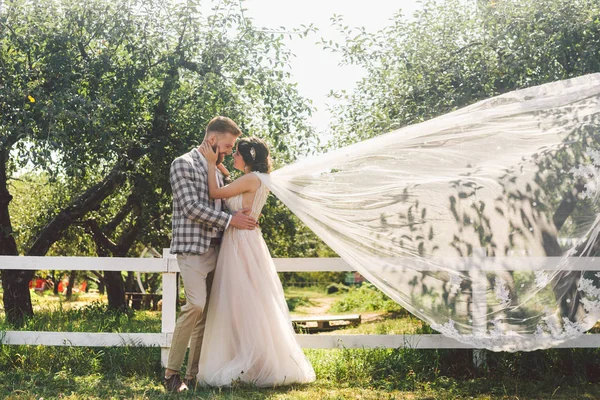 Καυκάσιος ζευγάρι στην αγάπη νύφη και γαμπρός στέκεται σε αγκαλιά κοντά σε ξύλινο λευκό, αγροτικό φράχτη στο πάρκο ένα οπωρώνα μήλου. θέμα είναι το πορτρέτο του γάμου και όμορφη νυφικό λευκό φόρεμα με μακρύ πέπλο — Φωτογραφία Αρχείου