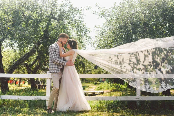 Aşık beyaz çift gelin ve damat parkta ahşap beyaz, kırsal çit yanında kucaklama ayakta bir elma bahçesi. tema uzun peçe ile düğün portre ve güzel düğün beyaz elbise