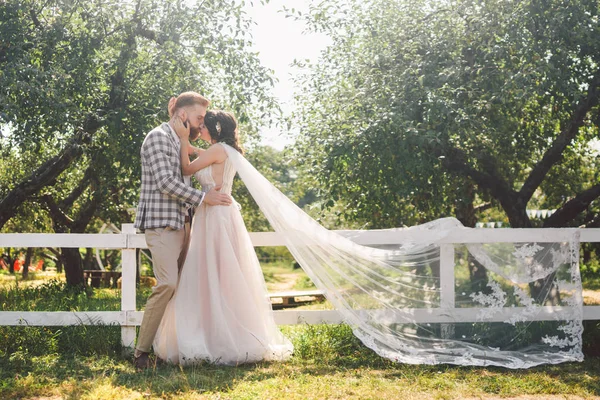 Aşık beyaz çift gelin ve damat parkta ahşap beyaz, kırsal çit yanında kucaklama ayakta bir elma bahçesi. tema uzun peçe ile düğün portre ve güzel düğün beyaz elbise