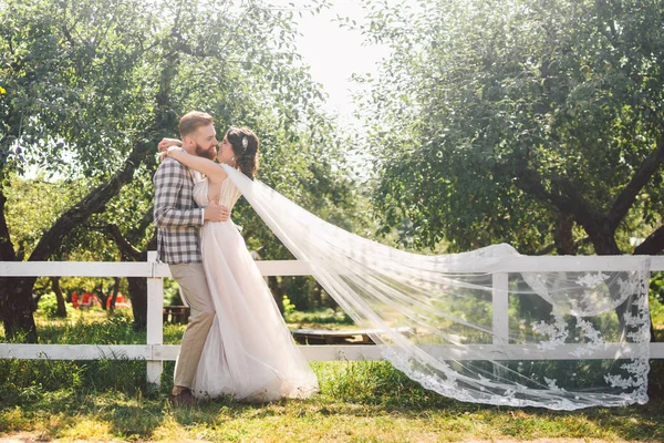 Aşık beyaz çift gelin ve damat parkta ahşap beyaz, kırsal çit yanında kucaklama ayakta bir elma bahçesi. tema uzun peçe ile düğün portre ve güzel düğün beyaz elbise