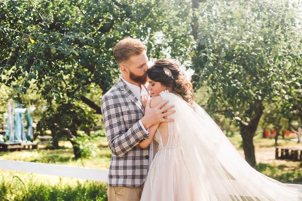 Aşık beyaz çift gelin ve damat parkta ahşap beyaz, kırsal çit yanında kucaklama ayakta bir elma bahçesi. tema uzun peçe ile düğün portre ve güzel düğün beyaz elbise