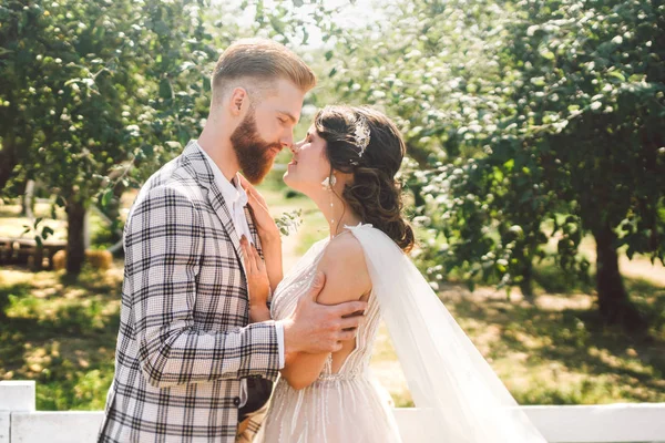 Coppia caucasica innamorata sposa e sposo in piedi in abbraccio vicino a legno bianco, recinzione rurale nel parco un frutteto di mele. tema è il ritratto di nozze e bellissimo abito da sposa bianco con velo lungo — Foto Stock