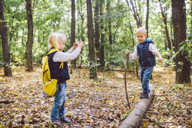 Çocuk okul öncesi Kafkas erkek ve kız kardeşi Forest Park sonbaharda cep telefonu kamerası birbirlerinin fotoğraflarını çekmek. çocuk için hobi ve aktif yaşam tarzı teması. Meslek fotoğrafçısı