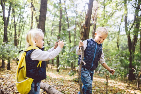 Çocuk okul öncesi Kafkas erkek ve kız kardeşi Forest Park sonbaharda cep telefonu kamerası birbirlerinin fotoğraflarını çekmek. çocuk için hobi ve aktif yaşam tarzı teması. Meslek fotoğrafçısı — Stok fotoğraf