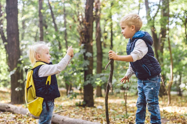 Çocuk okul öncesi Kafkas erkek ve kız kardeşi Forest Park sonbaharda cep telefonu kamerası birbirlerinin fotoğraflarını çekmek. çocuk için hobi ve aktif yaşam tarzı teması. Meslek fotoğrafçısı — Stok fotoğraf