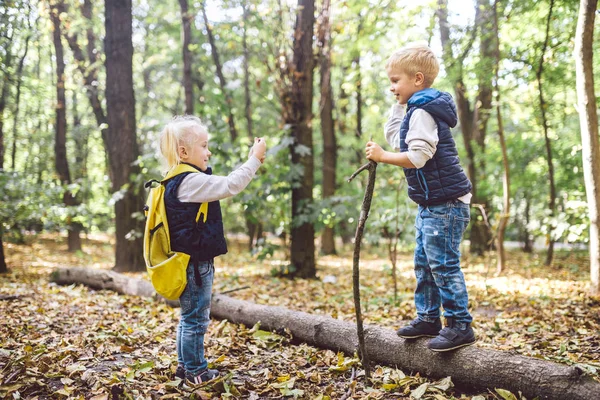 Діти дошкільного віку Кавказького брата і сестри сфотографувати один одного на мобільний телефон камери в лісі парк осінь. Тема хобі та активного способу життя для дитини. Професія фотограф — стокове фото