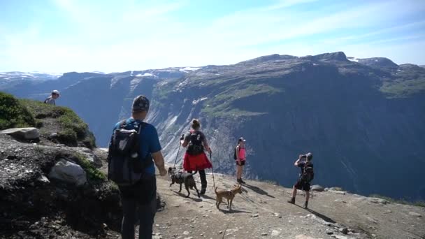 26 de julio de 2019. Noruega. excursionistas con perros en la Trolltunga. Senderismo de perros en Noruega. senderismo, trekking, estilo de vida con mascota concepto de Noruega. Senderistas con perros en la montaña. Hombre con perro en el viaje en el — Vídeos de Stock