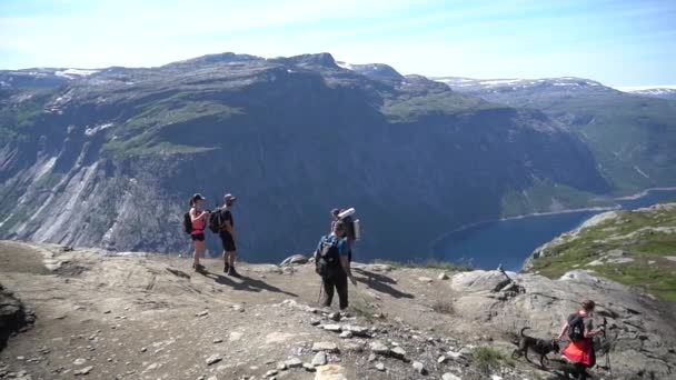 26 luglio 2019. Norvegia. escursionisti con cani sul Trolltunga. Escursioni con i cani in Norvegia. escursionismo, trekking, stile di vita con concetto di animale domestico Norvegia. Escursionisti con cani in montagna. Uomo con cane in viaggio nel — Video Stock