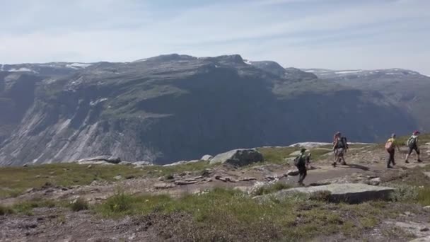 26 Temmuz 2019. Norveç. Köpekli yürüyüşçüler Trolltunga 'da. Norveç 'te köpek yürüyüşü. Yürüyüş, yürüyüş, evcil hayvan Norveç konseptiyle yaşam tarzı. Dağda köpekli yürüyüşçüler. Köpekli adam yolculukta — Stok video