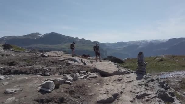 July 26, 2019. Norway. hikers with dogs on the Trolltunga. Dog hiking in Norway. hiking, trekking, lifestyle with pet Norway concept. Hikers with dogs in mountain. Man with dog on the trip in the — Stock Video