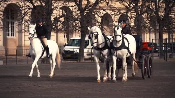 20 février 2019. Danemark. Copenhague. Contournement d'entraînement Adaptation d'un cheval dans l'écurie royale du château Christiansborg Slots. Homme cavalier en uniforme et casque et cheval de course à l'extérieur — Video