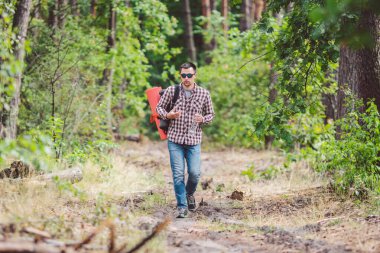 Genç adam ormanda yürüyor. Ormanı keşfediyor, sonbahar gününün tadını çıkarıyor, dışarıda orman manzarasında şişe tutuyor. Macera yürüyüşü. Açık hava yaşam tarzı özgürlük kavramı.