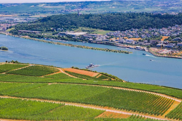 Panorama of the middle Rhine River valley with beautiful vineyards sloping down to a distant medieval village of Rudesheim, Germany. Unesco — Stock Photo, Image