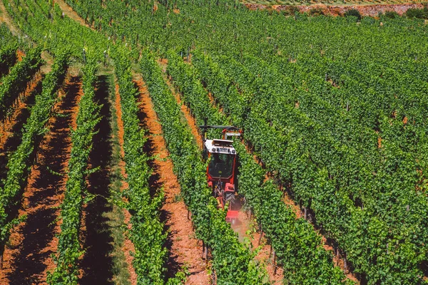 El tema de la agricultura y la vinificación en Europa. Un tractor rojo procesa un campo de uva en un día soleado en una ladera de la montaña. Producción de vino ecológico, agricultura moderna en Europa occidental — Foto de Stock