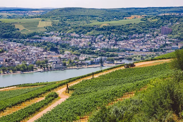 Panoramic view of the city by the river and vineyards. Tourism theme in Germany. Work of a tractor in a vineyard overlooking the Rhine river and the city of Rudeshaim. Agricultural theme in small Stock Picture