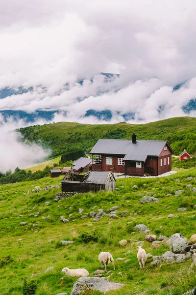 Norskt landskap med typiskt skandinaviskt gräs tak hus och fåren betar i dalen. Idylliskt landskap får gård i Norge. utsikt landsbygd lantgårdar platå på fäboden — Gratis stockfoto