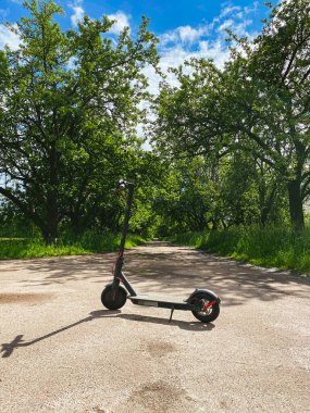 Kiralık E-Scooter, motorlu scooter, parka park edilmiş. Çevre dostu ulaşım konsepti. Parktaki modern ekolojik şehir scooter 'ı. Alternatif taşıma. Çevre dostu hareketlilik kavramı.