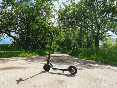 Kiralık E-Scooter, motorlu scooter, parka park edilmiş. Çevre dostu ulaşım konsepti. Parktaki modern ekolojik şehir scooter 'ı. Alternatif taşıma. Çevre dostu hareketlilik kavramı.