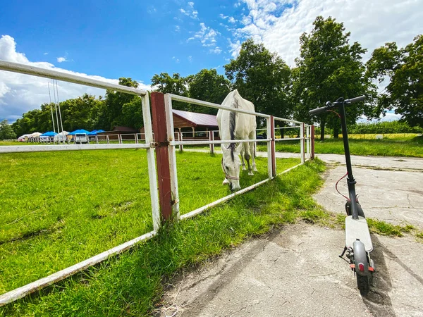 生态移动交通方式 在绿草附近的电动车用白马覆盖了马术竞技场 一个泊车的电子摩托车 生态友好的移动概念 马场训练 — 图库照片