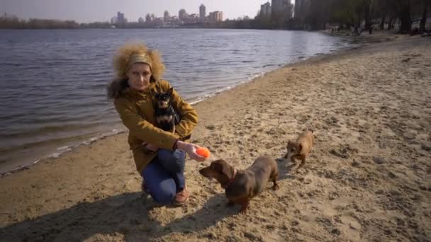 Sujeto Muchas Mascotas Amante Los Perros Paseo Adulto Anciano Anciano — Vídeo de stock