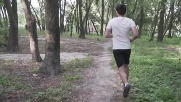 Killen löpare kör uppförsbacke erövra en kulle accelererar i skogen. Bakifrån löper löpare uppför en stig genom skogen. Idrottsman trail runner i längdskidåkning utbildning kör i bergen — Stockvideo