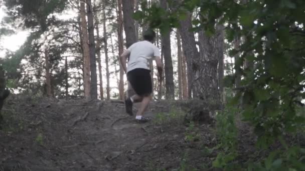 Un corredor corriendo cuesta arriba conquistando una colina acelerando en el bosque. El corredor de la vista trasera corre por un camino a través del bosque. atleta hombre trail runner en cross-country entrenamiento ejecutar en las montañas — Vídeo de stock