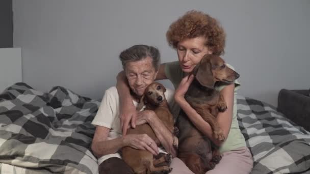 Tema Amor por los animales. Tratamiento de enfermedades seniles a través de la comunicación con perros. La hija madura visita a la madre anciana en el hogar de ancianos durante la terapia con animales. Dos ancianas juegan con 2 perros en casa — Vídeos de Stock