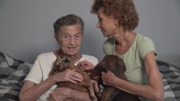 Любовь к животным тема. Лечение старческих заболеваний через общение с собаками. Пожилая дочь навещает пожилую мать в доме престарелых во время терапии животными. Две старушки играют с двумя собаками дома — стоковое видео