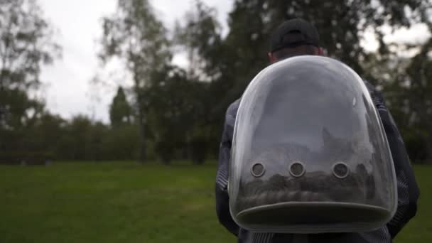 Homem caminhando no parque carrega na mochila transparente traseira com gato. Viagem masculina com animal em mochila de estimação transparente. Transportador de cápsula respirável transportando animal de estimação. Gatinho viaja para bolha mochila — Vídeo de Stock